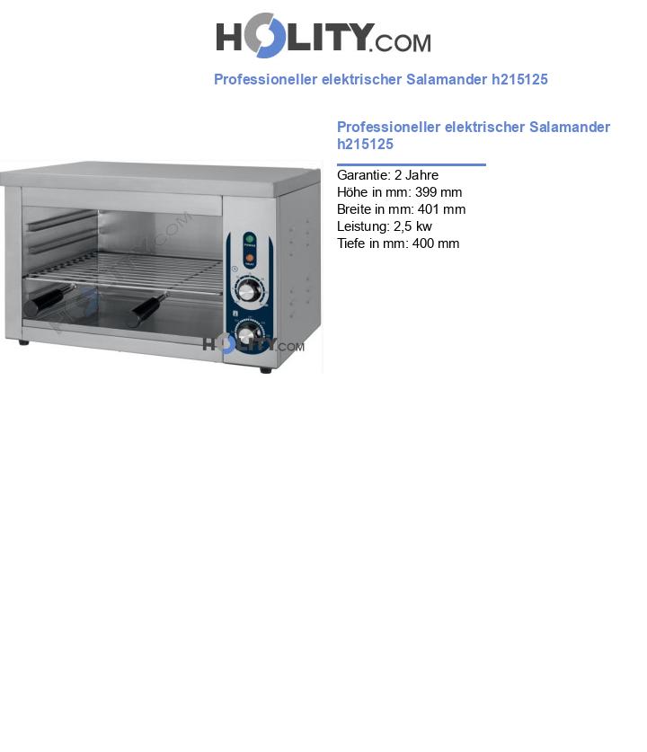 Professioneller elektrischer Salamander h215125