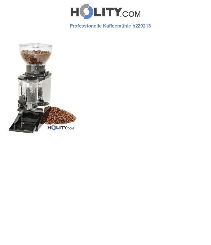 Professionelle Kaffeemühle h220213