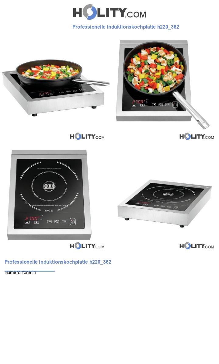 Professionelle Induktionskochplatte h220_362