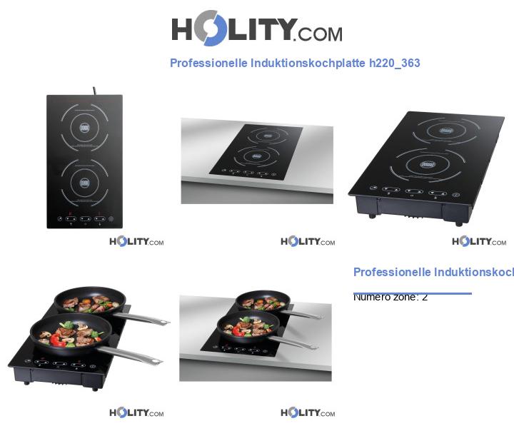 Professionelle Induktionskochplatte h220_363