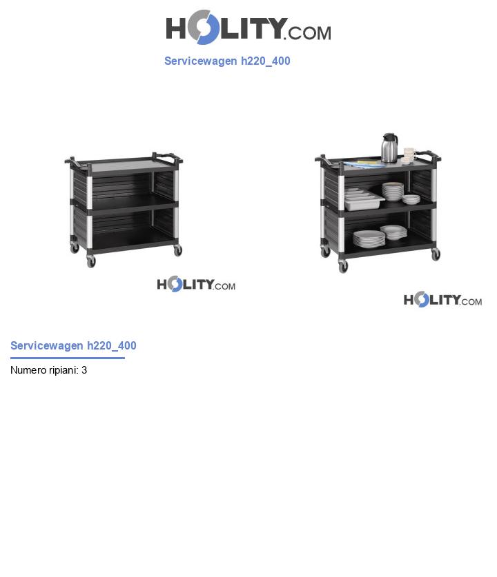 Servicewagen h220_400