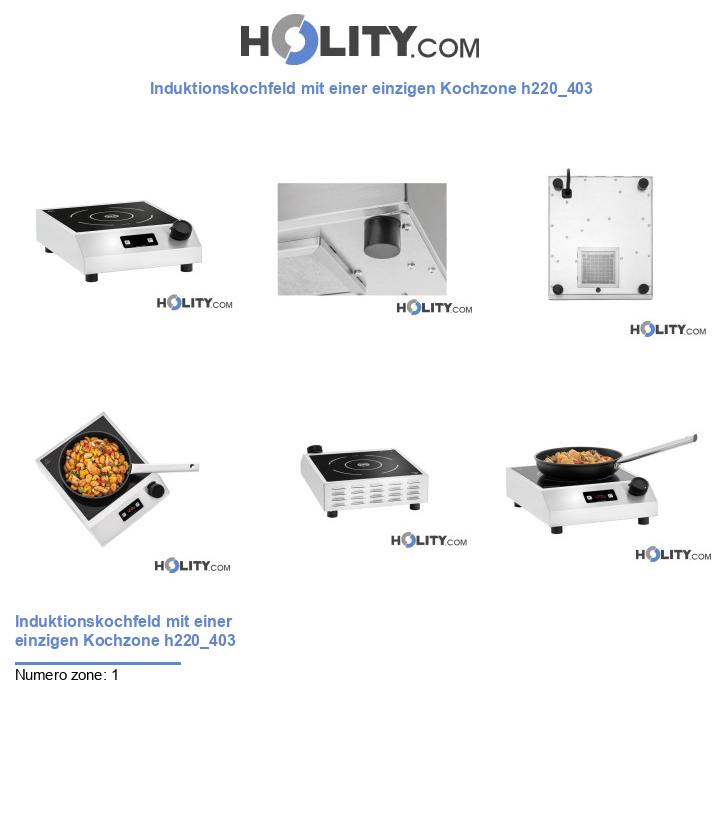 Induktionskochfeld mit einer einzigen Kochzone h220_403