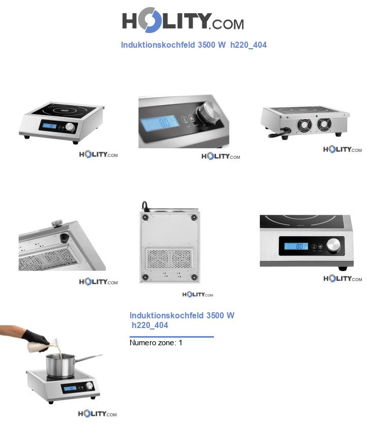 Induktionskochfeld 3500 W  h220_404