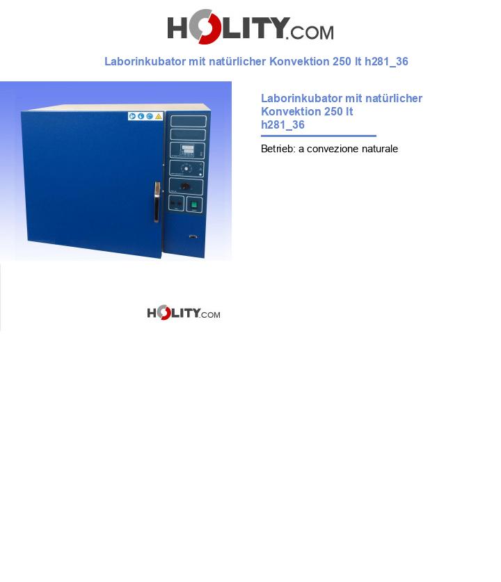 Laborinkubator mit natürlicher Konvektion 250 lt h281_36