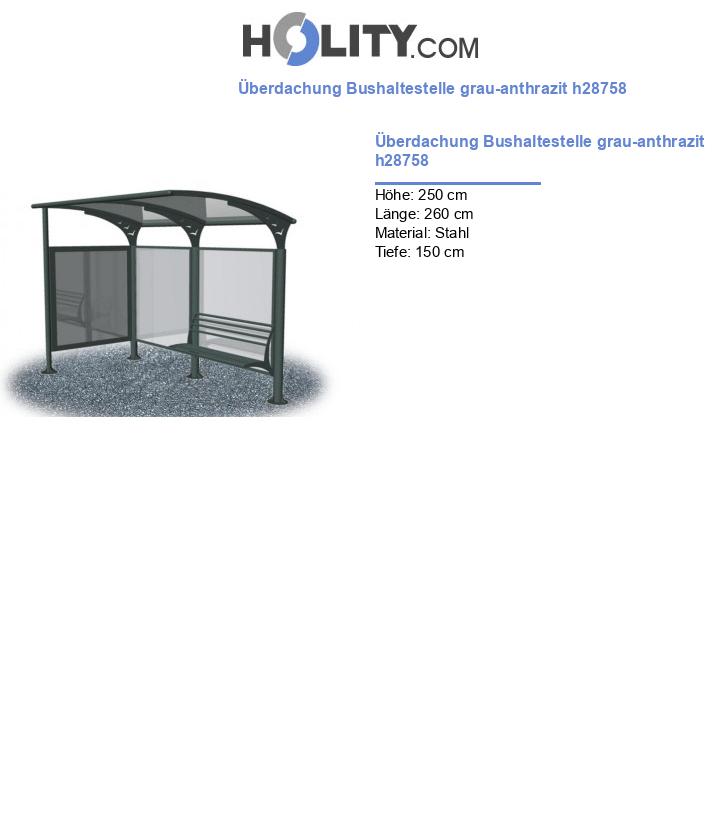 Überdachung Bushaltestelle grau-anthrazit h28758