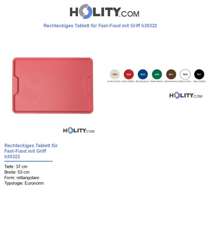 Rechteckiges Tablett für Fast-Food mit Griff h30322