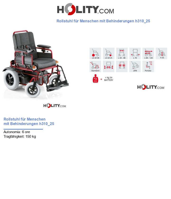 Rollstuhl für Menschen mit Behinderungen h310_25