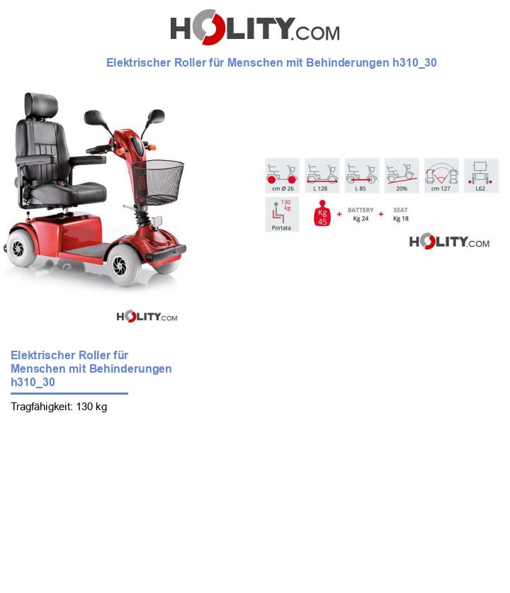 Elektrischer Roller für Menschen mit Behinderungen h310_30