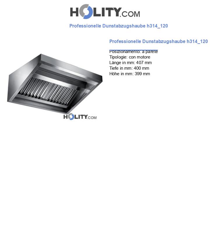 Professionelle Dunstabzugshaube h314_120