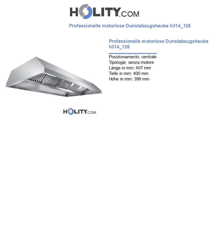 Professionelle motorlose Dunstabzugshaube h314_126