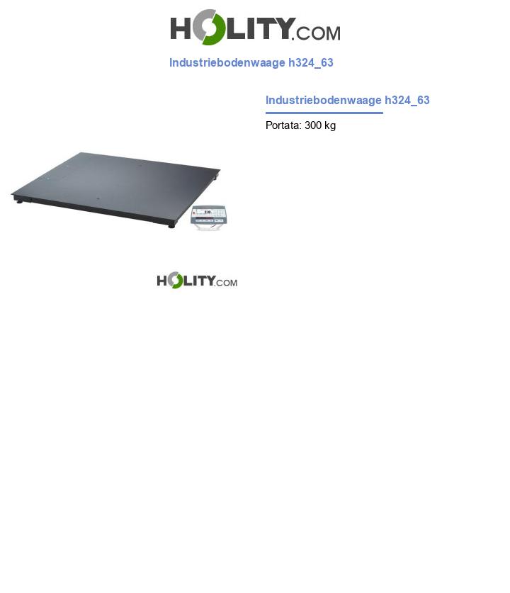 Industriebodenwaage h324_63