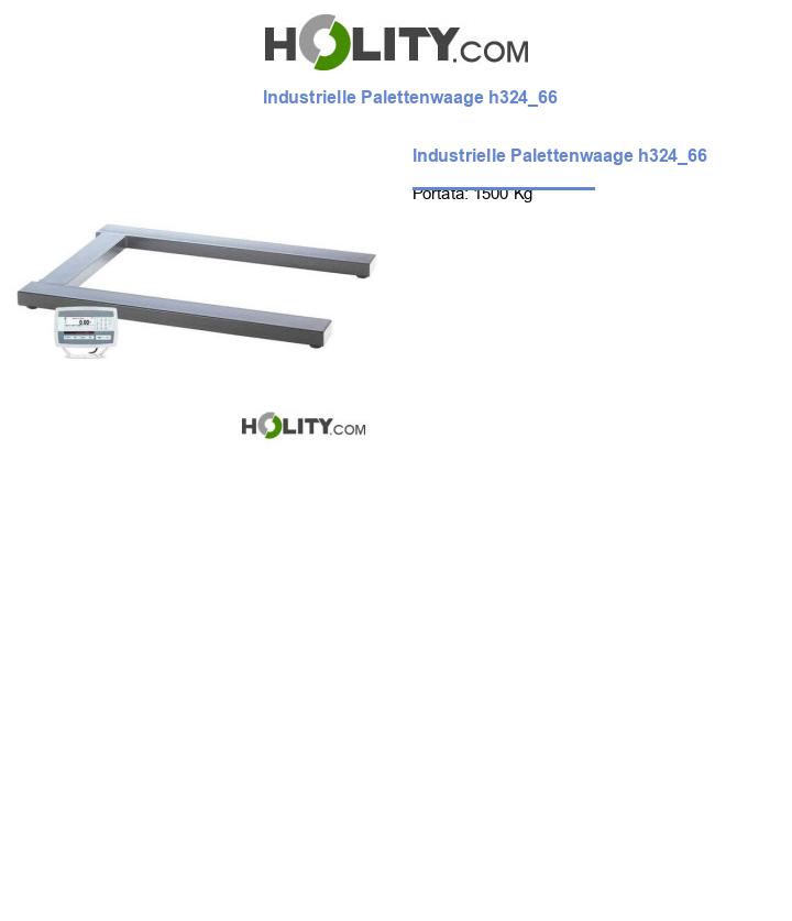 Industrielle Palettenwaage h324_66