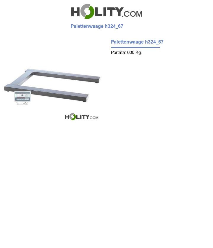 Palettenwaage h324_67