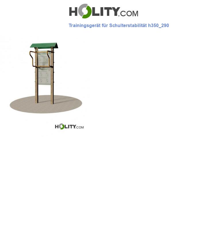 Trainingsgerät für Schulterstabilität h350_290