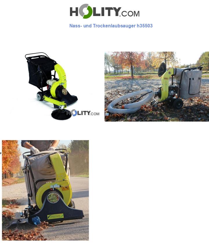 Nass- und Trockenlaubsauger h35503