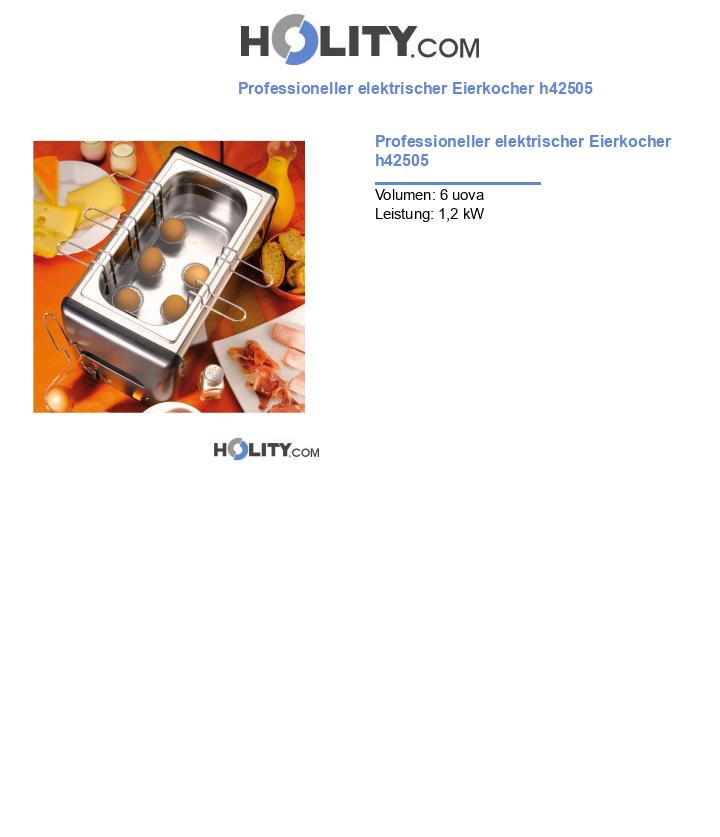 Professioneller elektrischer Eierkocher h42505