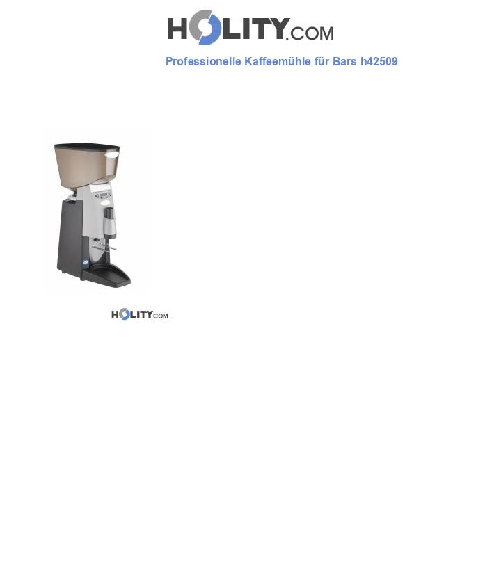 Professionelle Kaffeemühle für Bars h42509
