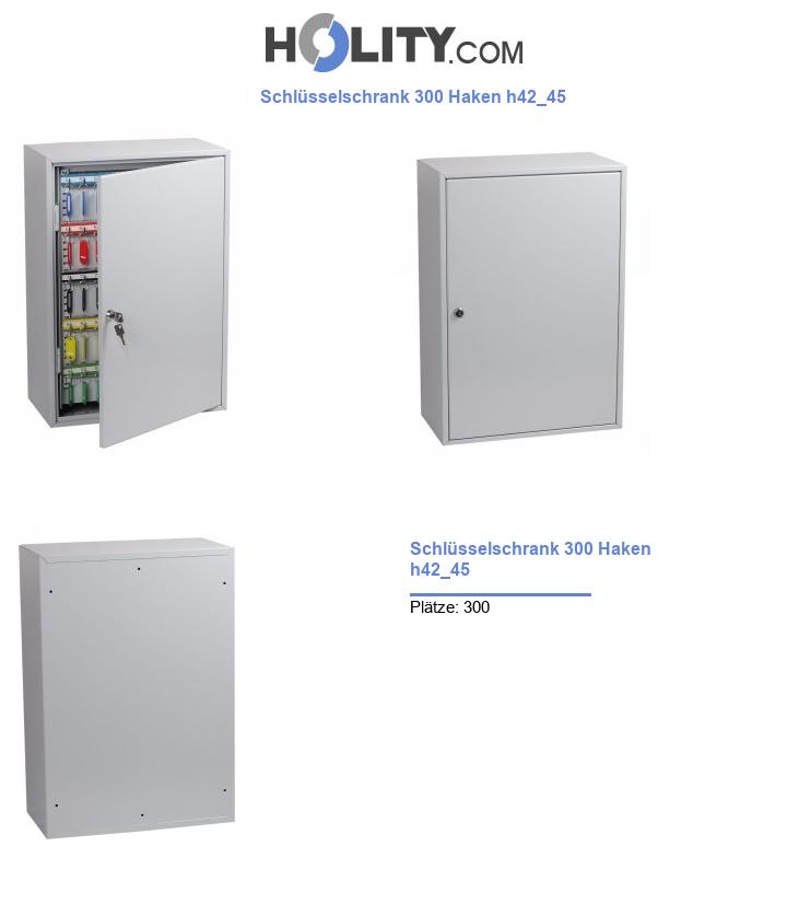 Schlüsselschrank 300 Haken h42_45