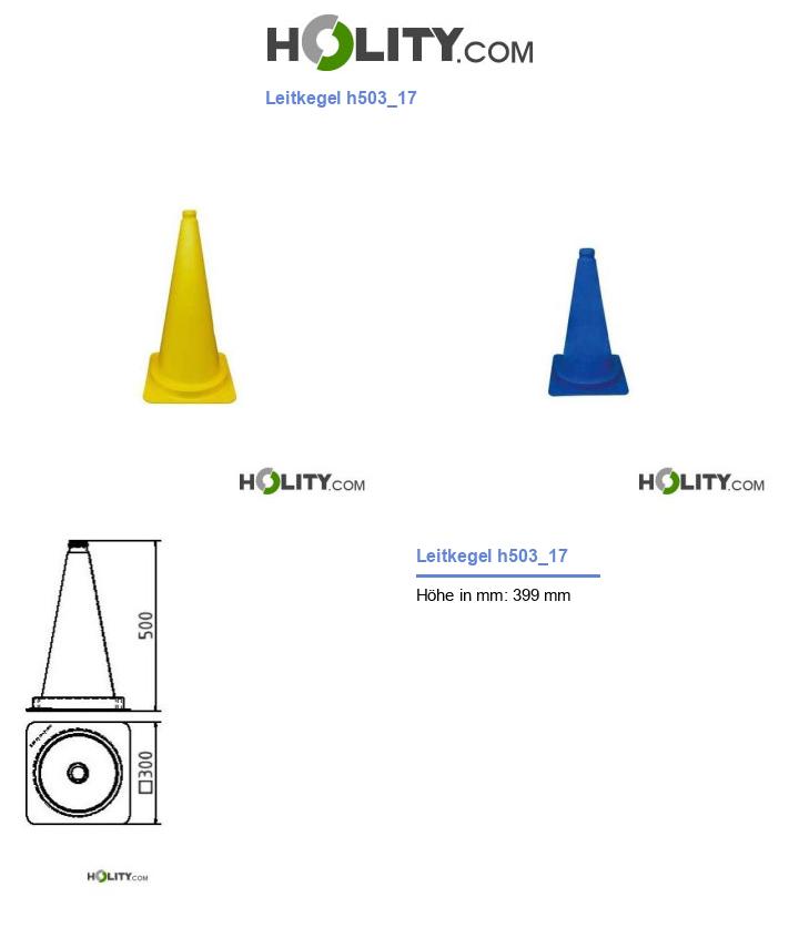 Leitkegel h503_17