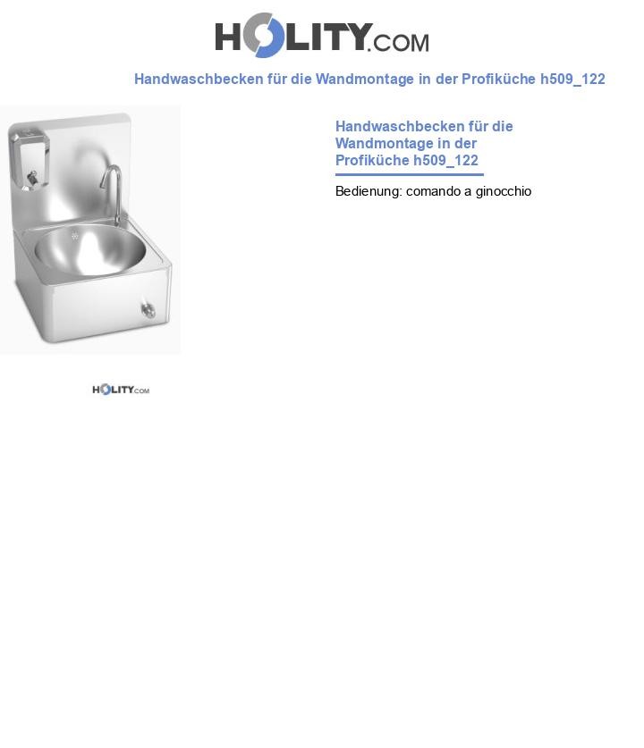 Handwaschbecken für die Wandmontage in der Profiküche h509_122