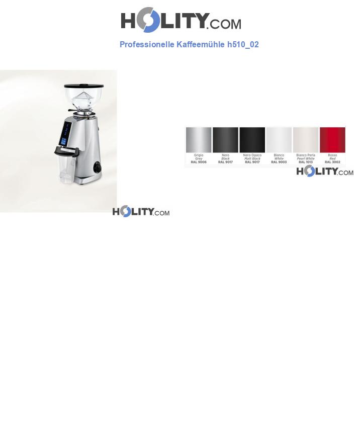 Professionelle Kaffeemühle h510_02