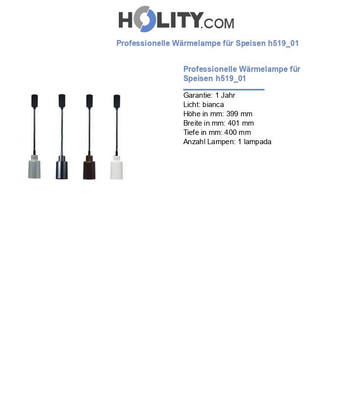 Professionelle Wärmelampe für Speisen h519_01