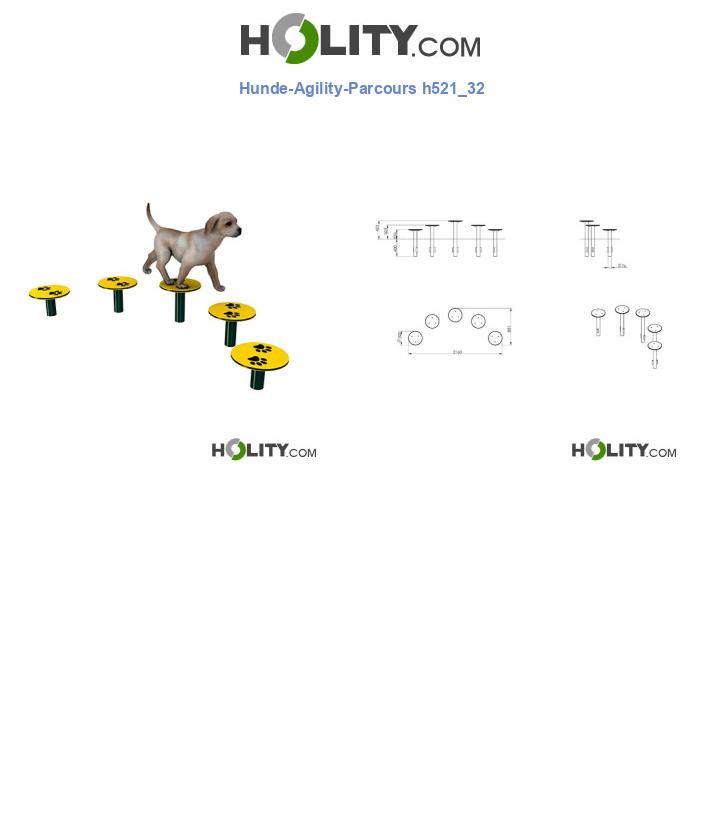 Hunde-Agility-Parcours h521_32