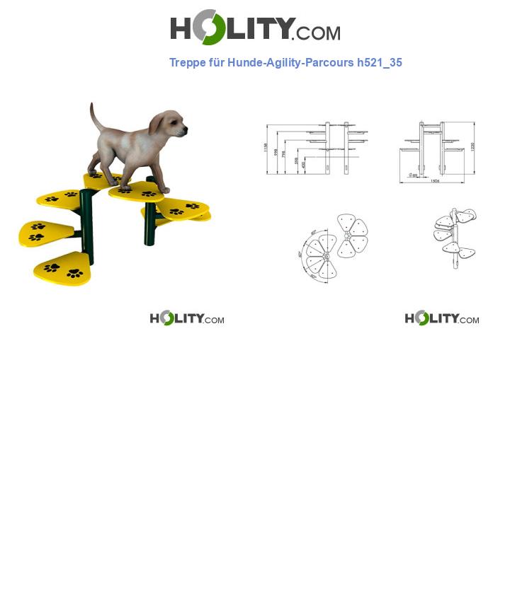 Treppe für Hunde-Agility-Parcours h521_35