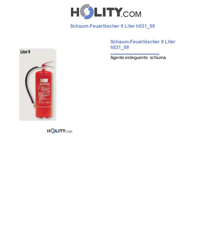 Schaum-Feuerlöscher 9 Liter h531_09