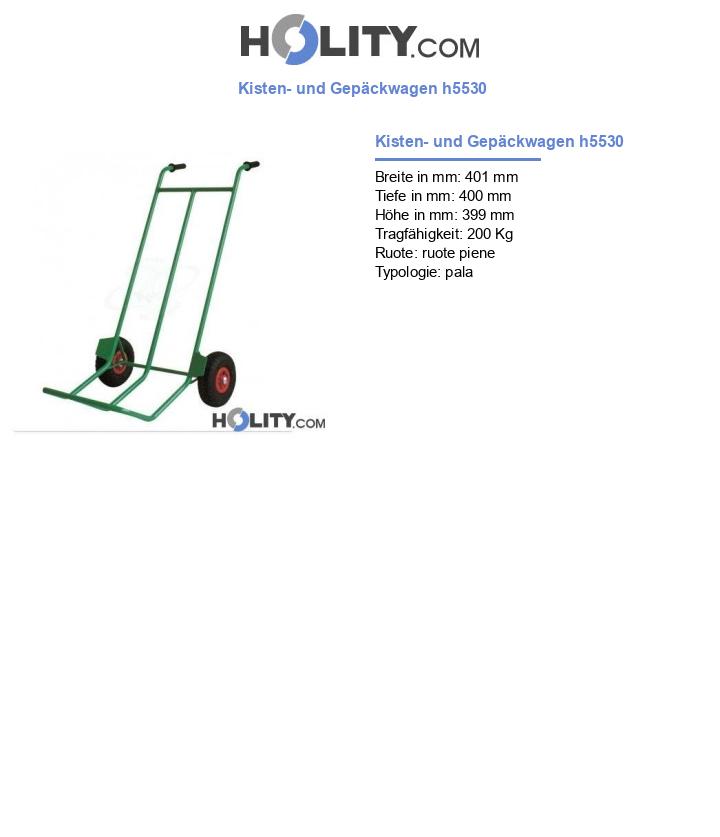 Kisten- und Gepäckwagen h5530