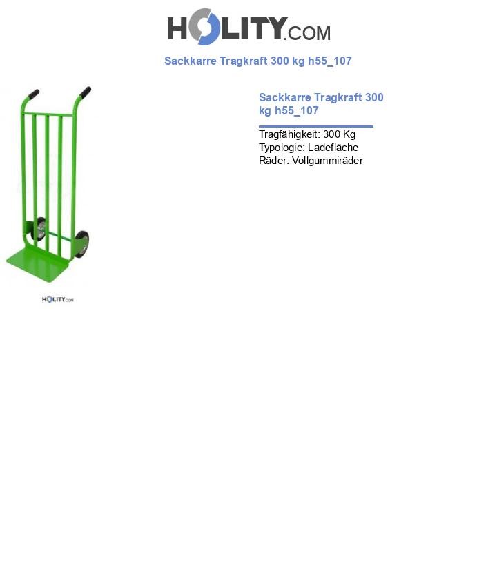Sackkarre Tragkraft 300 kg h55_107