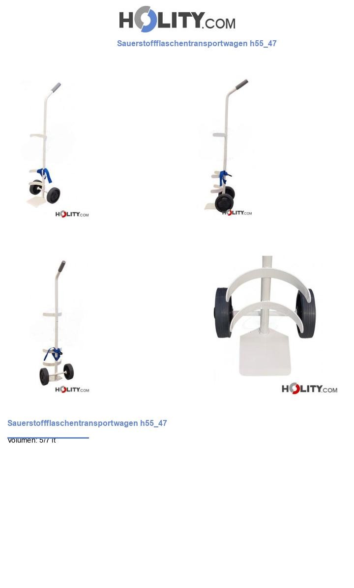 Sauerstoffflaschentransportwagen h55_47