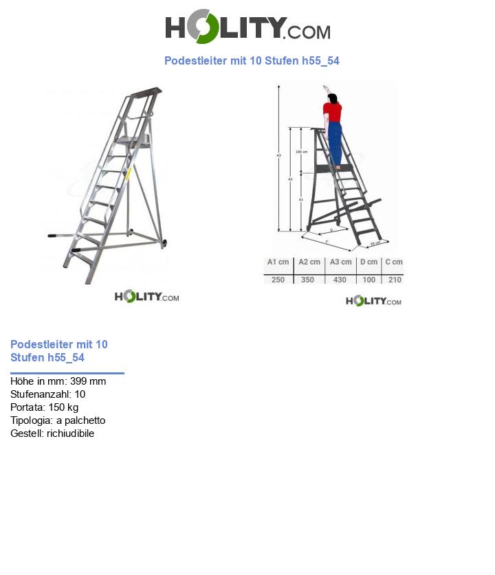 Podestleiter mit 10 Stufen h55_54