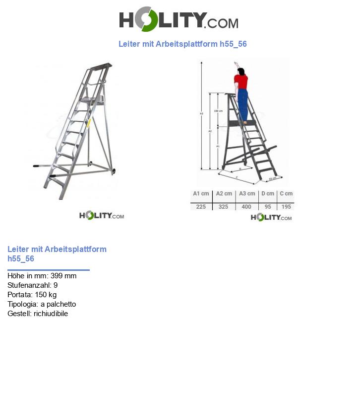 Leiter mit Arbeitsplattform h55_56