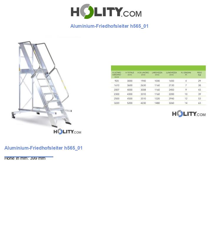 Aluminium-Friedhofsleiter h565_01