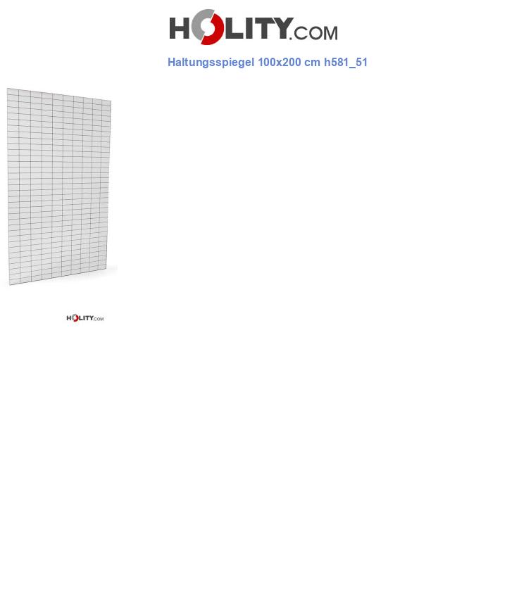 Haltungsspiegel 100x200 cm h581_51