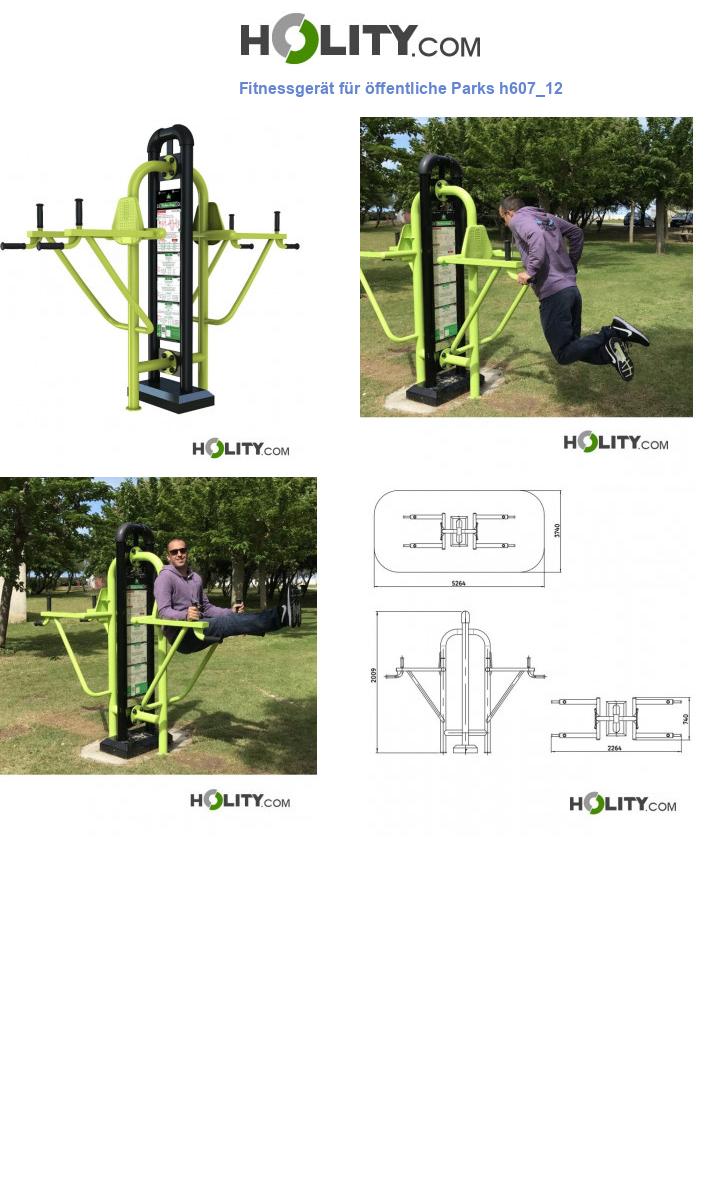 Fitnessgerät für öffentliche Parks h607_12