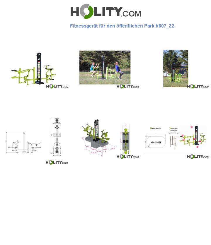 Fitnessgerät für den öffentlichen Park h607_22