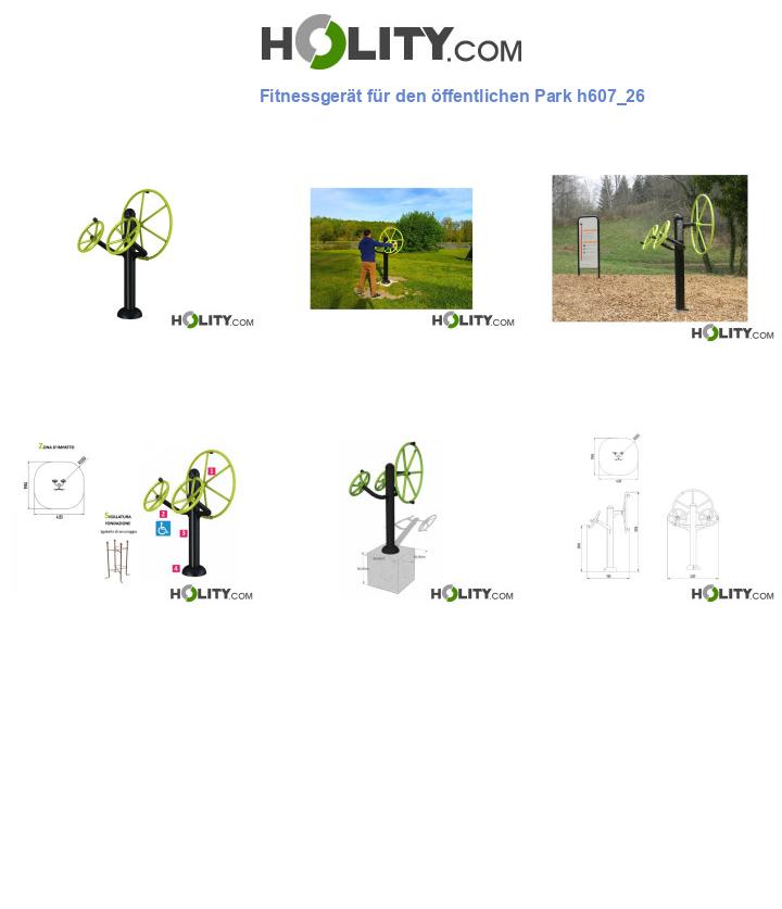 Fitnessgerät für den öffentlichen Park h607_26