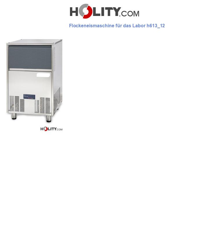 Flockeneismaschine für das Labor h613_12