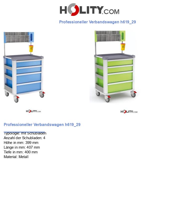 Professioneller Verbandswagen h619_29