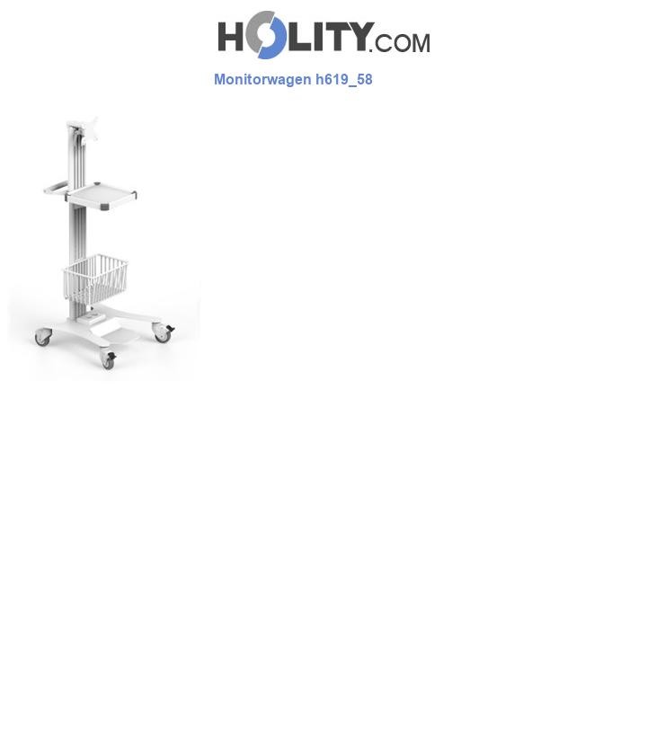 Monitorwagen h619_58