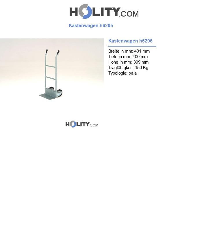 Kastenwagen h6205