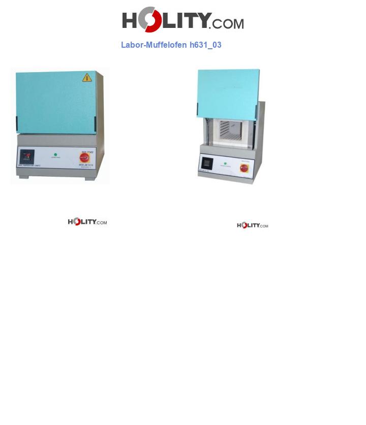 Labor-Muffelofen h631_03