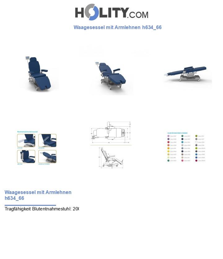 Waagesessel mit Armlehnen h634_66