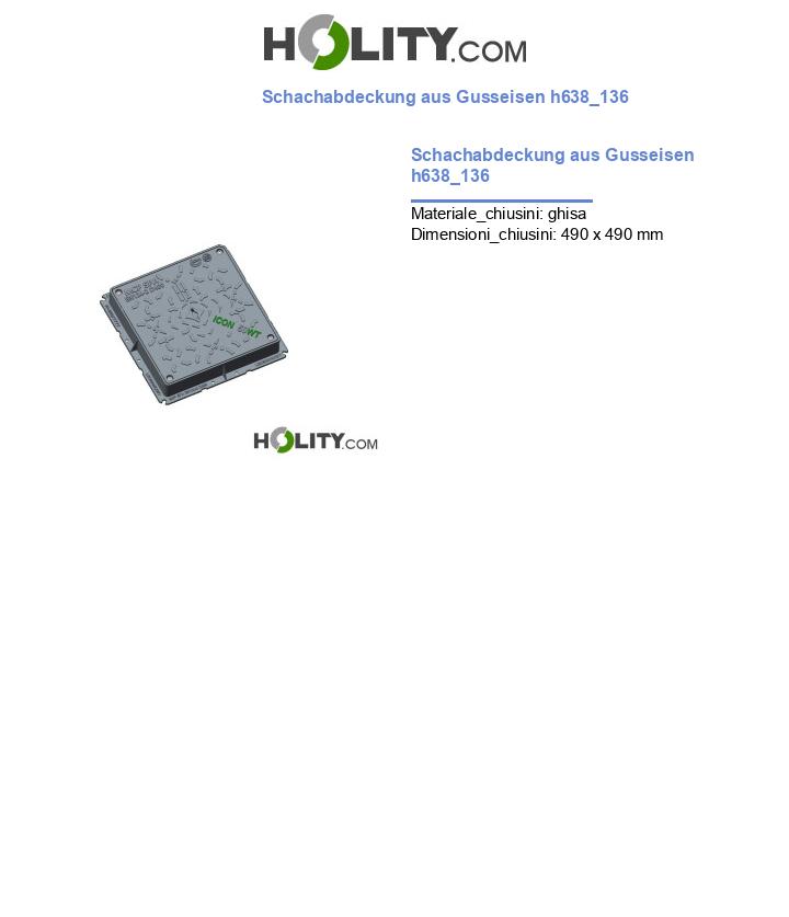 Schachabdeckung aus Gusseisen h638_136
