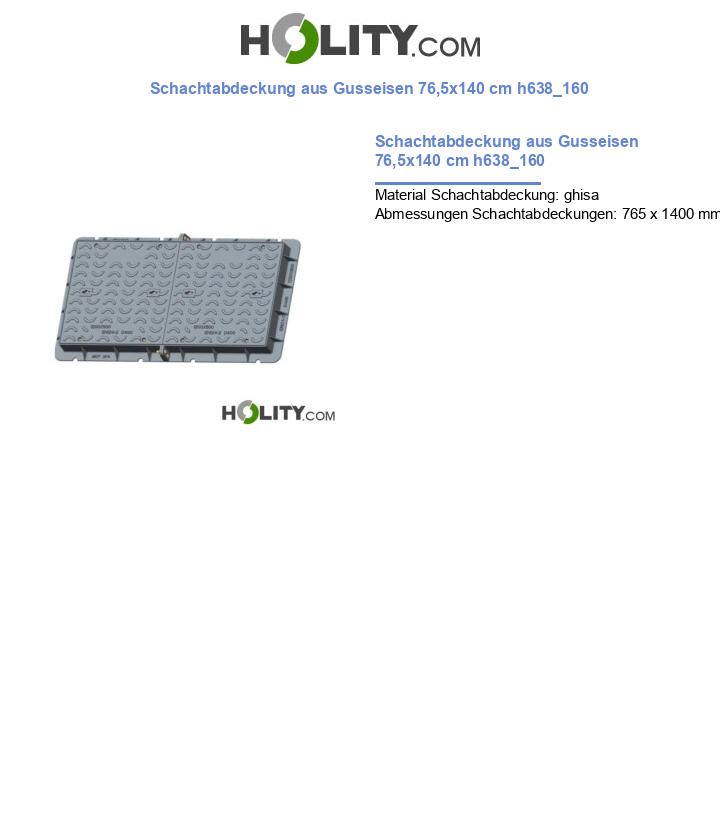 Schachtabdeckung aus Gusseisen 76,5x140 cm h638_160