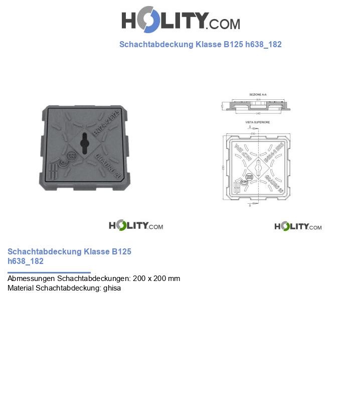 Schachtabdeckung Klasse B125 h638_182