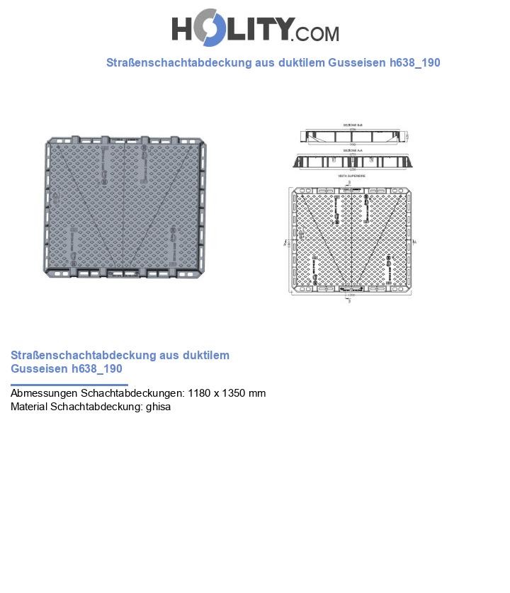 Straßenschachtabdeckung aus duktilem Gusseisen h638_190