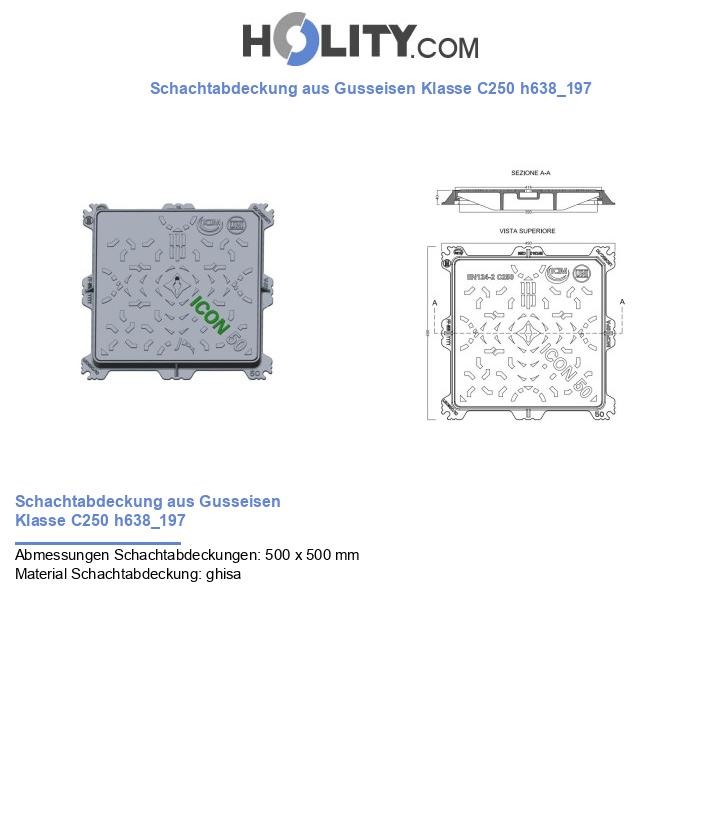 Schachtabdeckung aus Gusseisen Klasse C250 h638_197